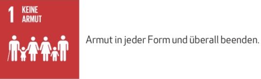 SDG 1 mit Text.pdf