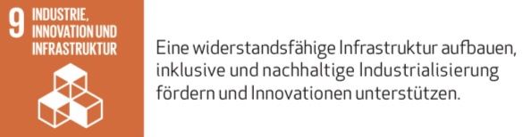 SDG 9 mit Text.pdf